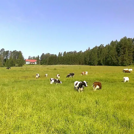 Lomakoivulehto Villa
