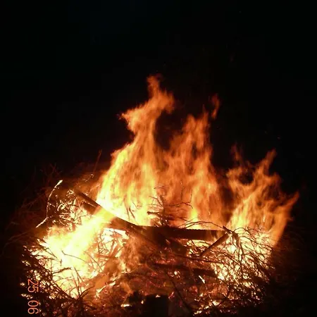 Villa Lomakoivulehto *