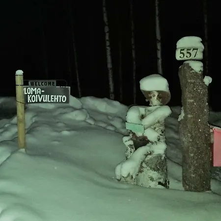 Вилла Lomakoivulehto