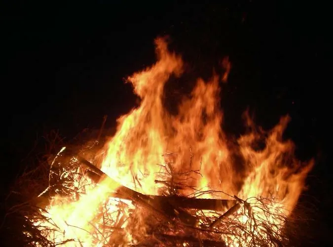 别墅 Lomakoivulehto *