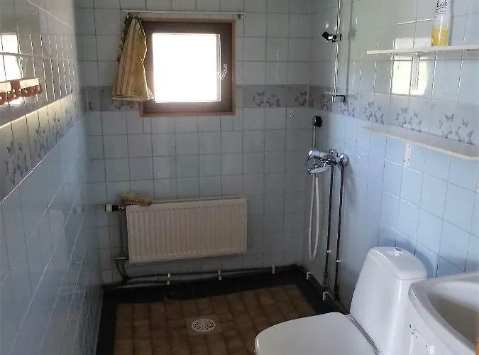 Lomakoivulehto 萨里耶尔维