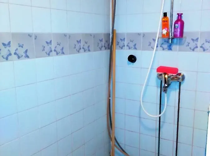 Lomakoivulehto 别墅