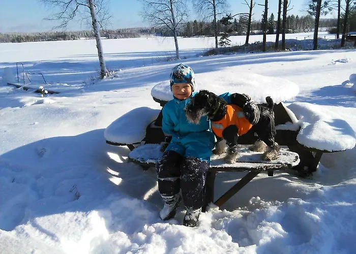 Lomakoivulehto 别墅 *