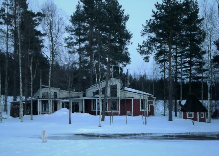 Lomakoivulehto Villa Saarijärvi